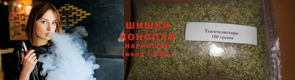 молекула духа Верхний Тагил