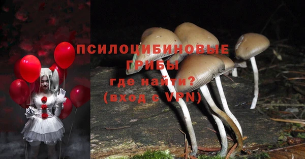 герыч Верея