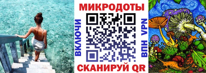 Псилоцибиновые грибы Psilocybe  Купить закладки  Обь 