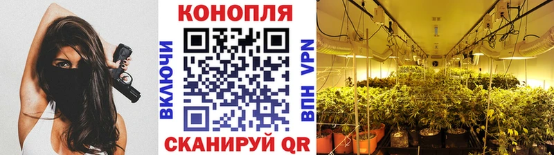 Марихуана VHQ  Купить закладки  Обь 